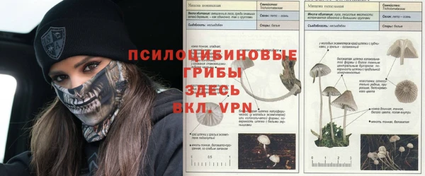 кокаин Богородск