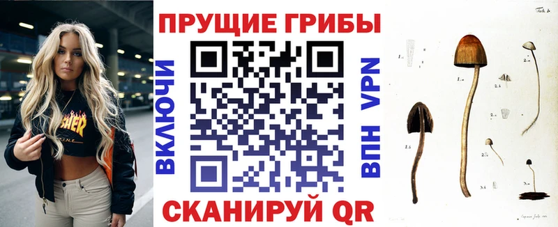 Псилоцибиновые грибы прущие грибы  купить закладку  Клинцы 